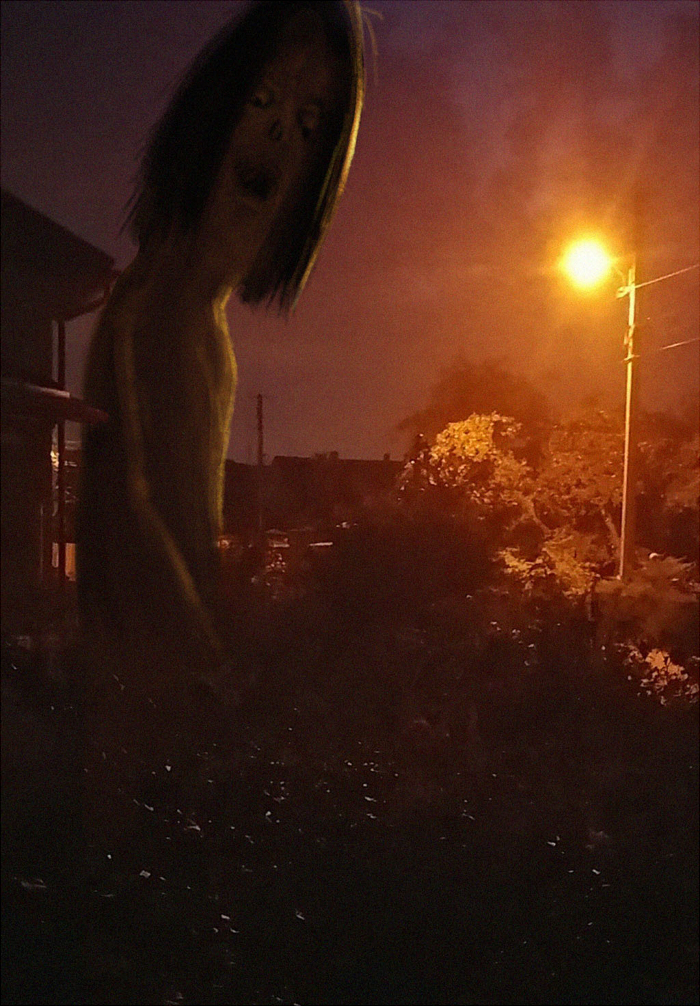 night owl add on camera