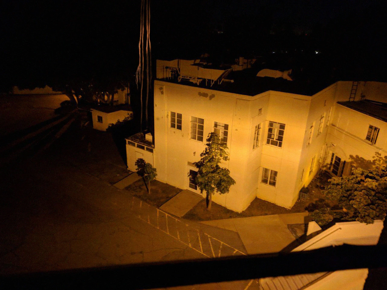 Limbs | Trevor Henderson Inspiration Wiki | Fandom