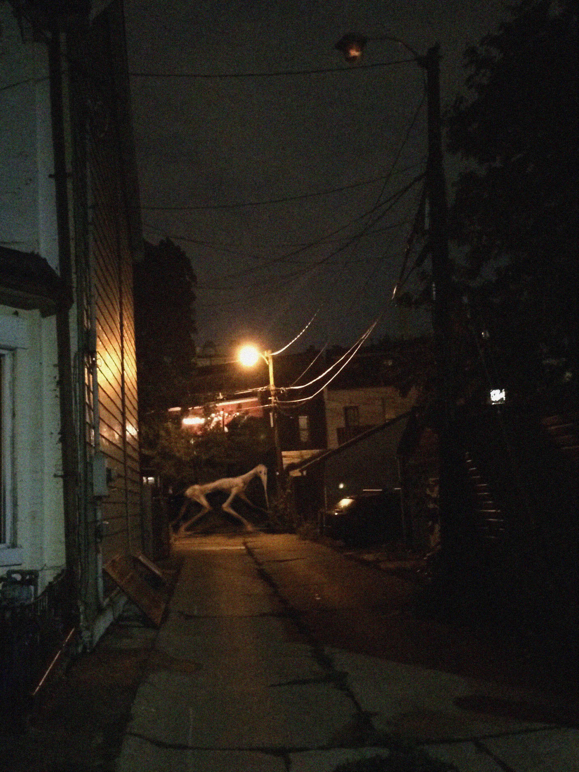 Street Horse Trevor Henderson Inspiration Wiki Fandom