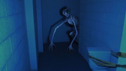 431?cb=20200420120012