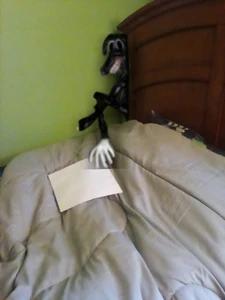 The Cartoon Dog | Trevor Henderson Inspiration Wiki | Fandom