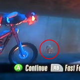Crowdojo squirrel