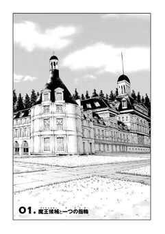 CH 1 insert