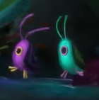 Chrousflies
