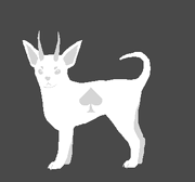 Lusus