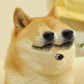 Thumbnail for version as of 02:40, October 6, 2013