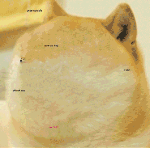 File:O.gif