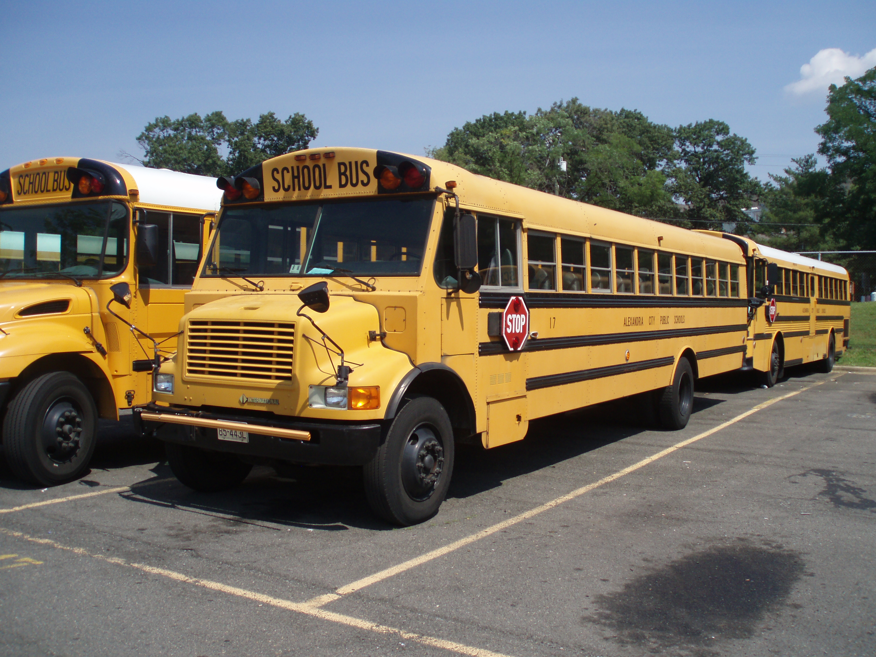 International 3800 School Bus Trucks Wiki Fandom