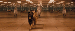 Anigif enhanced-3242-1393437344-1
