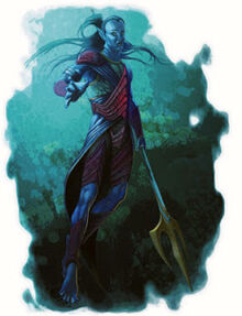 300px-Male Aquatic Elf