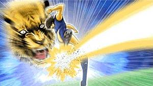 Tiger Shot