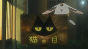 Tsubasachronicle Cats eye cafe sign