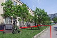 7-mini
