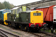 Derek'sBasis