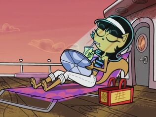 El Crucero 35