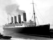 S.S.ViennaBasis2
