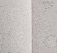 Labirynt