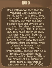 GoatBunnyDescription