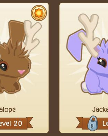 Jackalope Bunny Tunnel Town Wiki Fandom