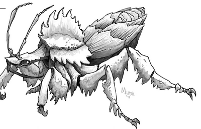 AssassinBug