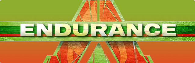 File:Endurance.png