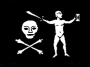 Kennedy flag