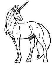 Unicorn