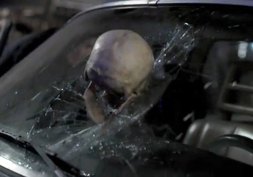 Bones Zack Addy Cannibal Episode