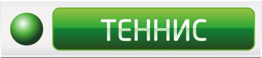 НТВ-Плюс Теннис (2010)