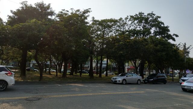 檔案:IMAG0278.jpg