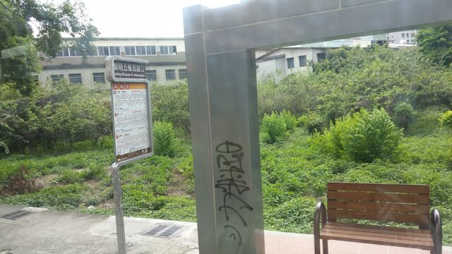 檔案:IMAG0638.jpg