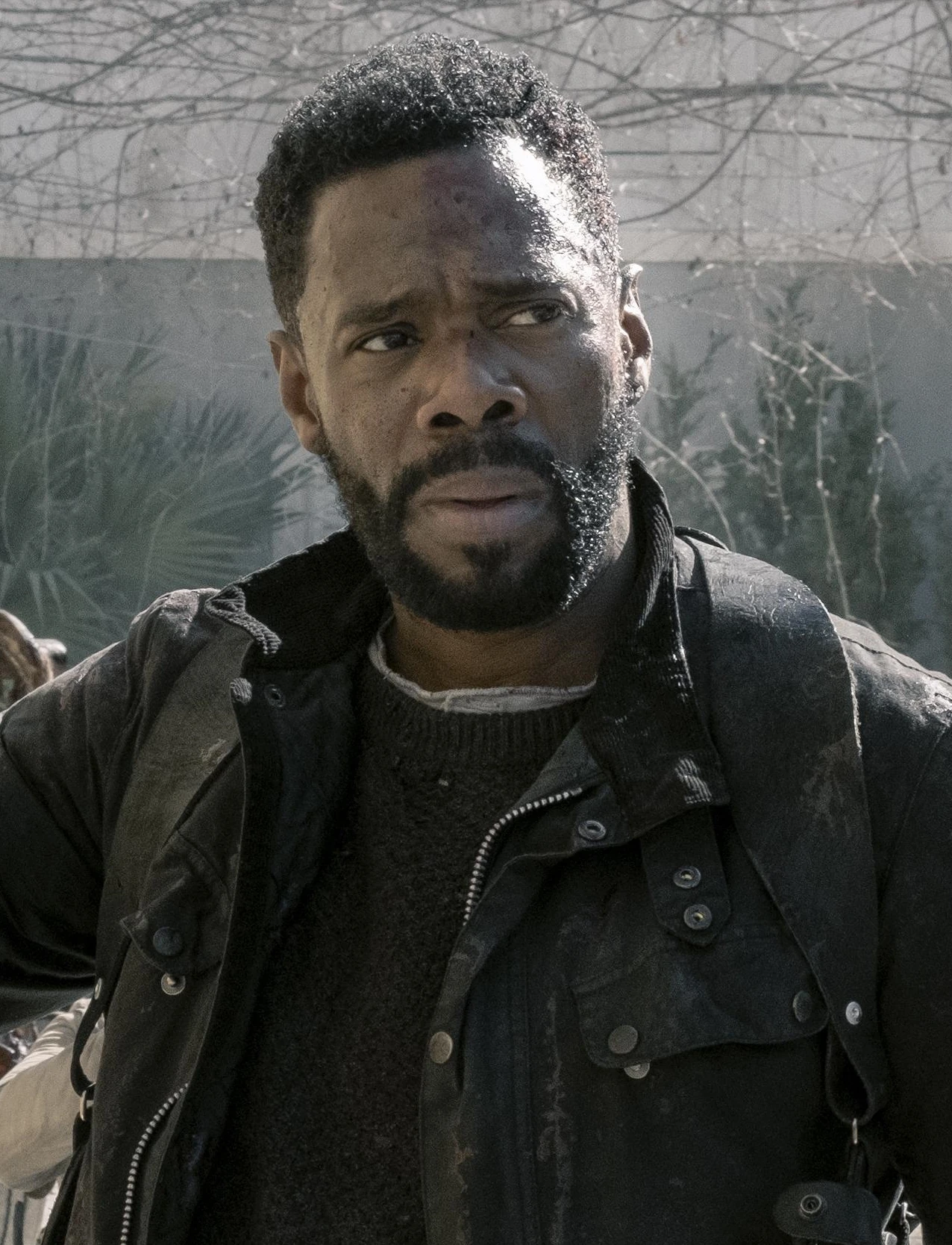 Victor Strand Wiki The Walking Dead Fandom
