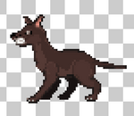 Dogs