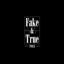 Fake True Twice Wiki Fandom