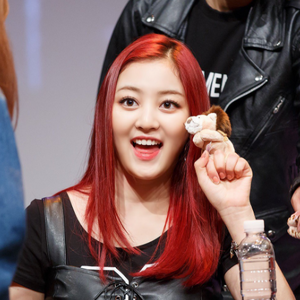 twice members