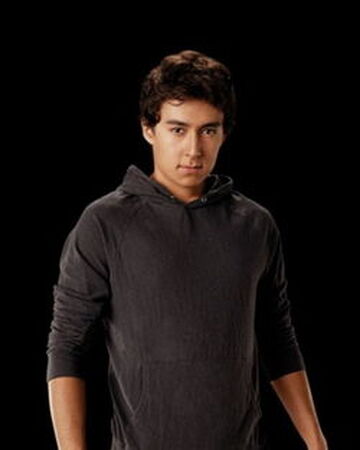 Wallpaper Quil Ateara V The Twilight Fanon Wiki Fandom For iPhone Free