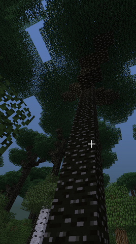 File:Canopy.png