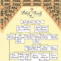 Black Family Twilight Saga Wiki Fandom