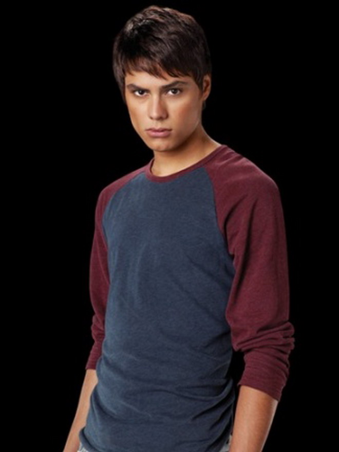 jacob black twilight saga