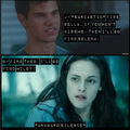 Thumbnail for version as of 18:19, August 10, 2011