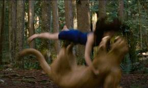 OMG! Now Bella love blood