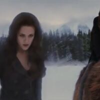 Mental Shield Twilight Saga Wiki Fandom