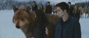 180px-Jacob-nessie-bella-edward-family