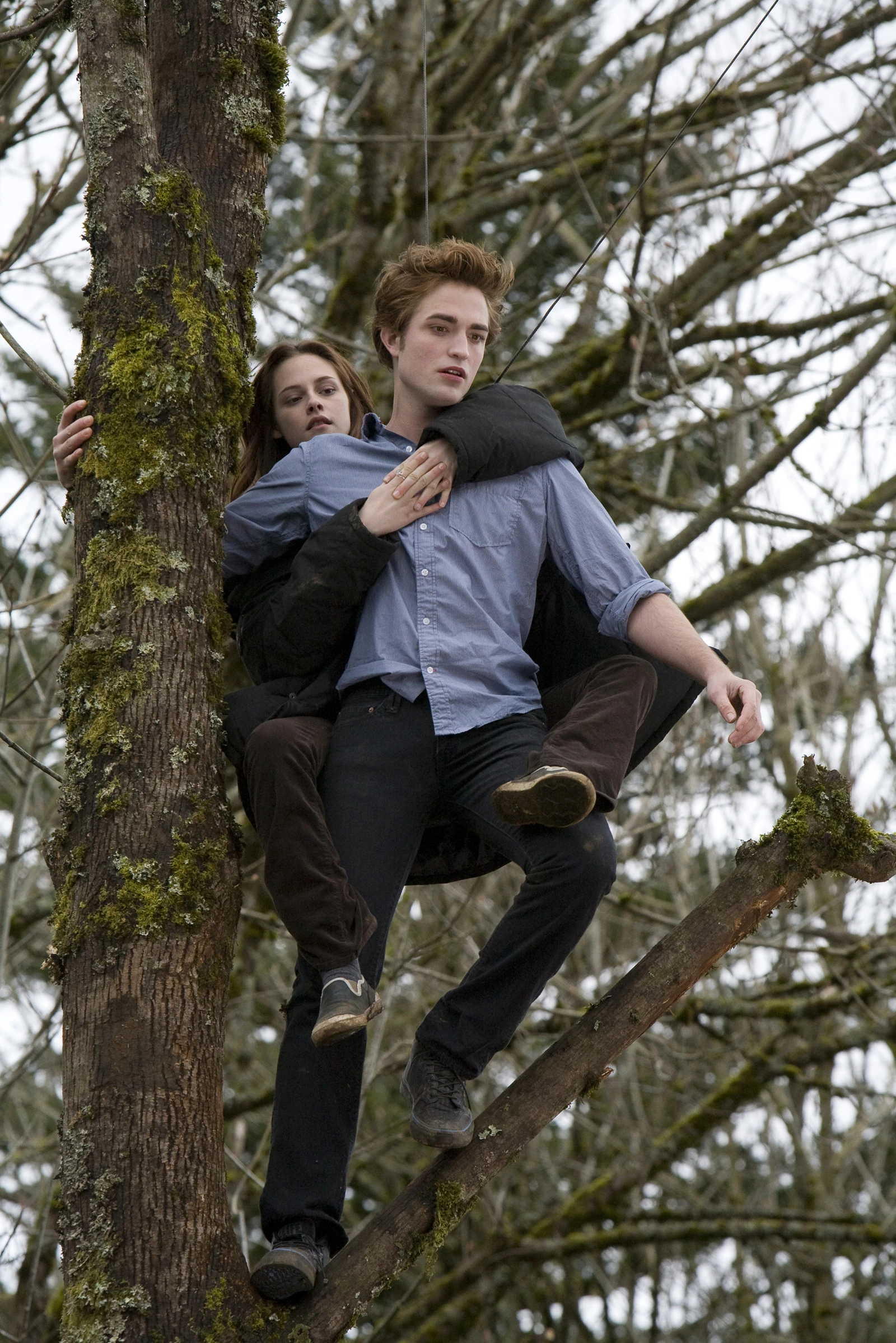 Image Twilight 1 (3).jpg Wiki Twilight FANDOM powered by Wikia
