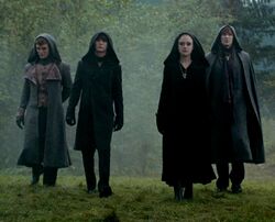 Volturi LG 01