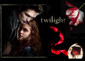 Thumbnail for version as of 14:10, May 23, 2010