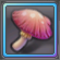 Item-Nightshade Mushroom