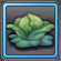 Item-Fresh Cabbage