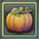 Item-Wild Pumpkin