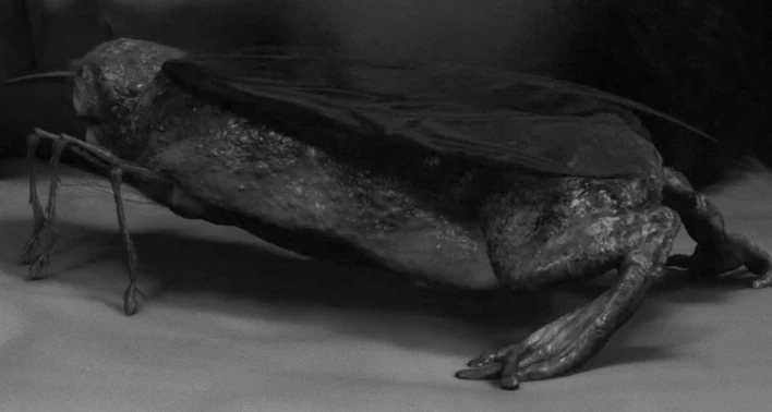 Hatchling Twin Peaks Wiki Fandom